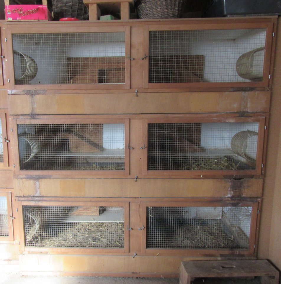Meerschweinchen / Kaninchenstall 6 Boxen - Nagetiere - Schwenningen