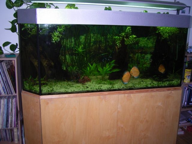 Kompl.- Aquarium - Aquarien und Zubehoer - Mainz