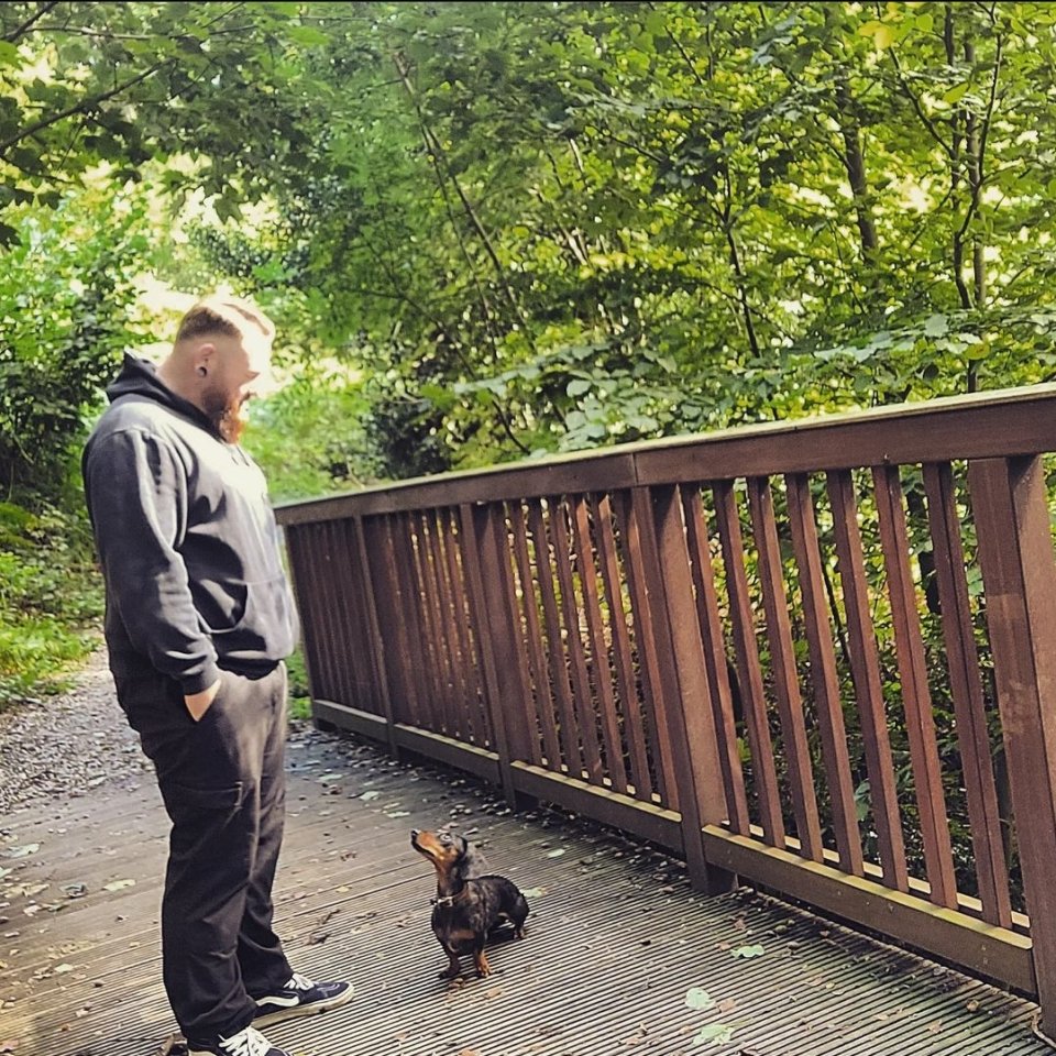 Gassi-Service und Verhaltenstherapie für deinen Hund - Hunde - Castrop-Rauxel