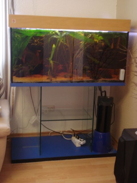 Woha Komplettaquarium inkl. Besatz, Pflanzen, Deko - Aquarien und Zubehoer - Grevesmühlen