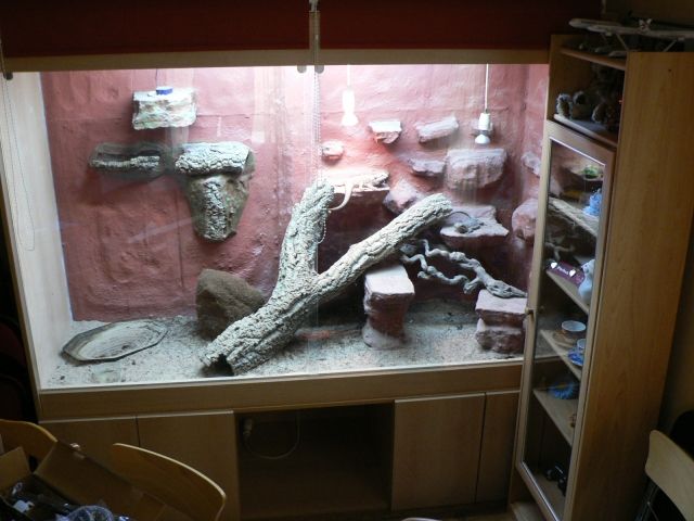 Verkaufe Terrarium aus Holz mit Unterschrank - Terrarien - Sulzfeld