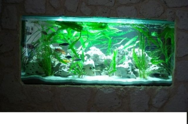 Becken mit kompletter technik und inhalt - Aquarien und Zubehoer - bürstadt