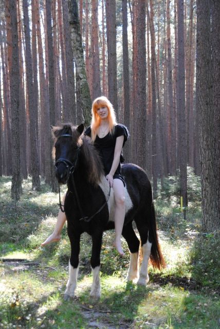 Zauberpony - Reitbeteiligung - Langenzenn