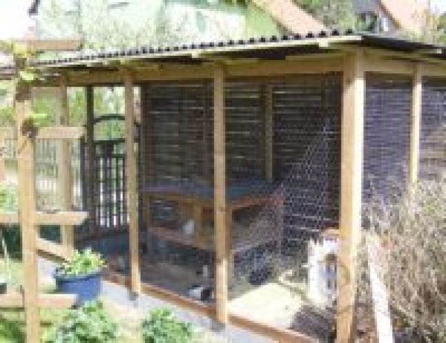 Tiernotstation,Gnadenhof und urlaubsbetreung - Nagetiere Allgemein - berlin