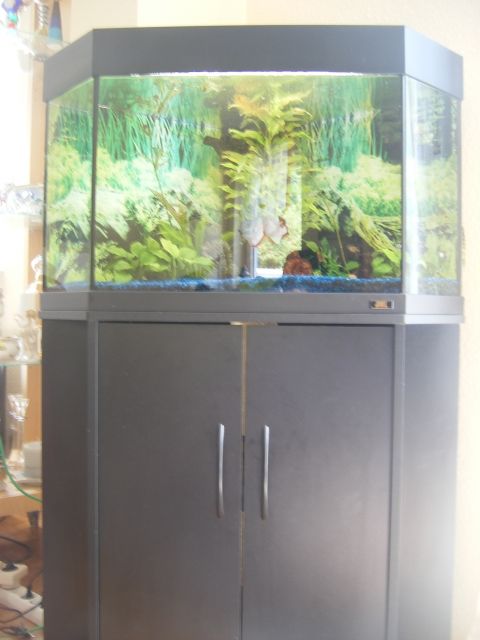Eckaquarium Juwel ca. 150L - Aquarien und Zubehoer - Marburg