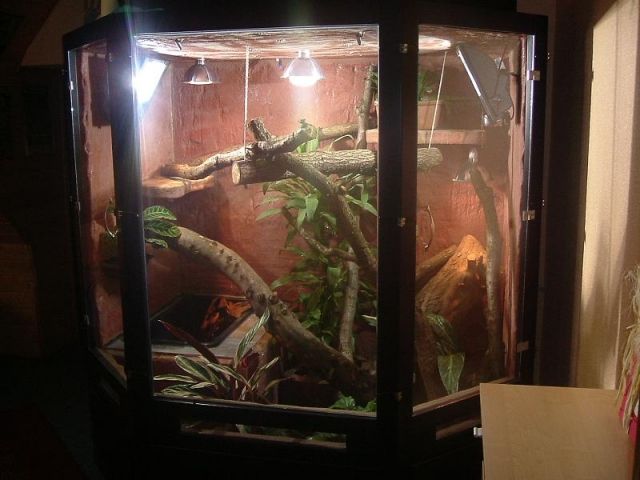 Großraumterrarium 2 x 1,5 x 2 m - Terrarien - Kranenburg