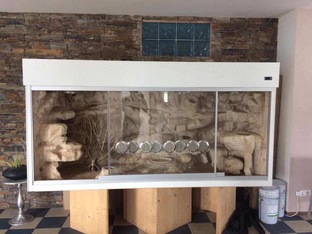Terrarium im guten Zustand - Pflegestellen - Pfeffinger Str.32