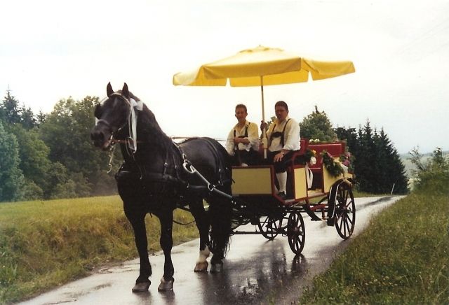 Hochzeitskutsche! - Zubehoer Nutztiere - Rosegg