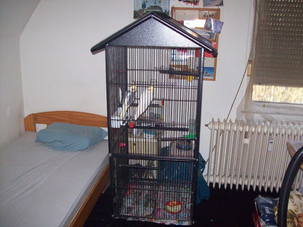 Vogel voliere mit rollen+Brutkasten+zubehör+Spielzeug+Stick-target. - Voegel - Köln