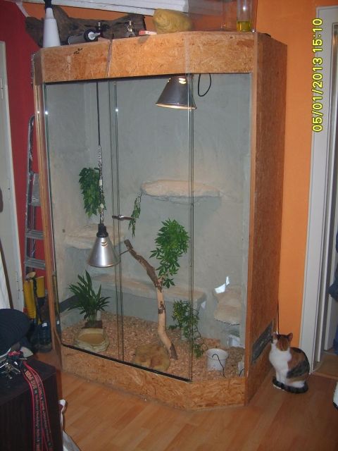 Selbst gebautes Terrarium - Terrarien - Harrislee