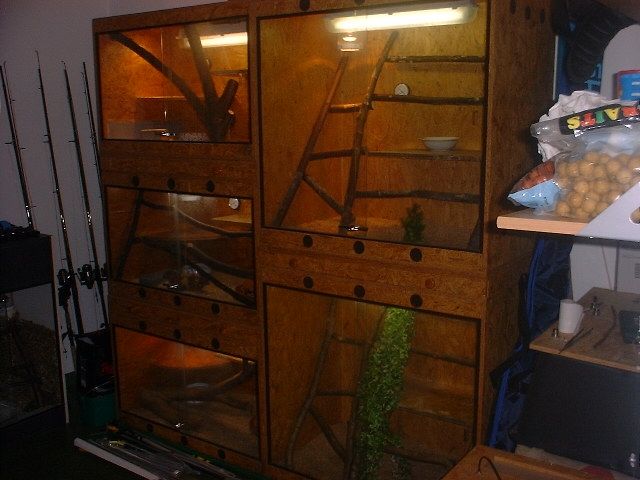 Terrarienanlage komplett incl. 6 Königspython - Terrarien - Eschweiler
