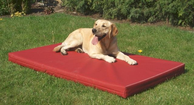Hundebett, Hundematte für große Hunde, - Zubehoer Haustiere - Lünen