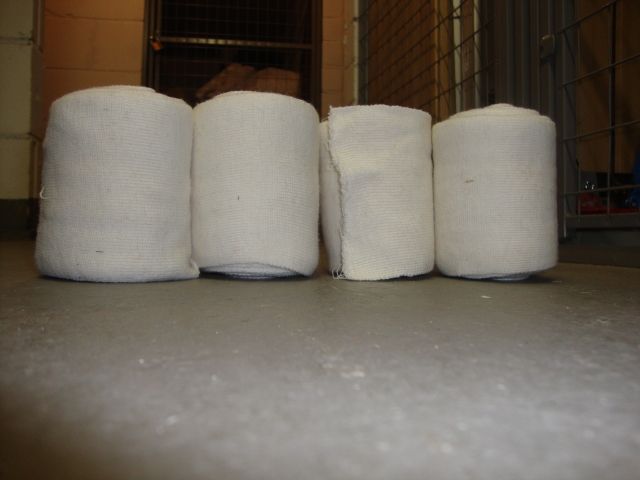 Bandagen weiß - Pferde - Köln