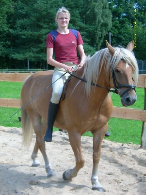 Suuuuche Reitbeteiligung in 21....einfach mal lesen :-) - Reitbeteiligung - Bardowick