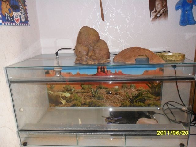 Terrarium Komplett 80 cm Lang mit Ausstattung.Wie Neu!!! - Terrarien - Quedlinburg