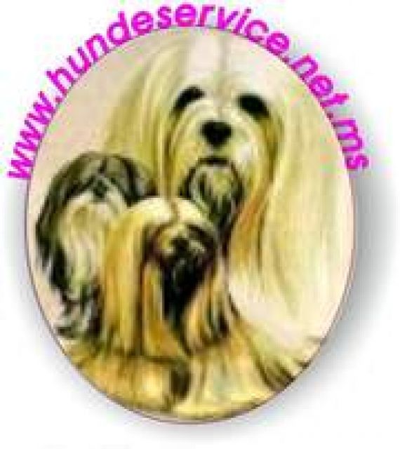 Mobiler Hundesalon - Haustiere - 10249 Berlin