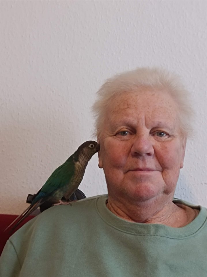 Nelly, Grünwangenrotschwanzsittich, weiblich - Voegel - Augsburg, Bayern - Antonsviertel