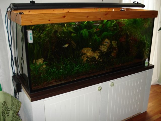 Aquarium komplett 450L - Aquarien und Zubehoer - Schönaich