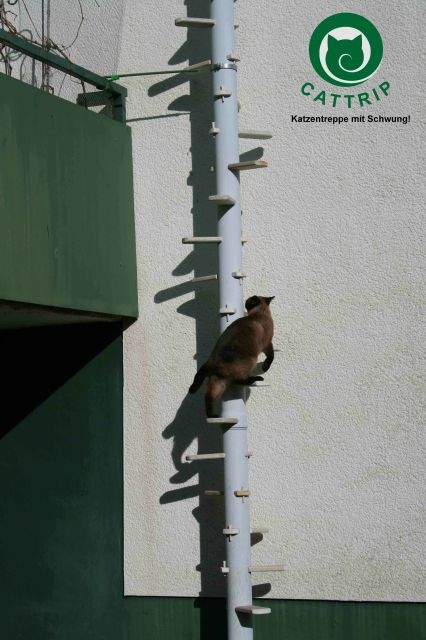 Katzenleiter-Bausatz Cattrip. Bequem mit Versand. - Zubehoer für Haustiere - Marburg