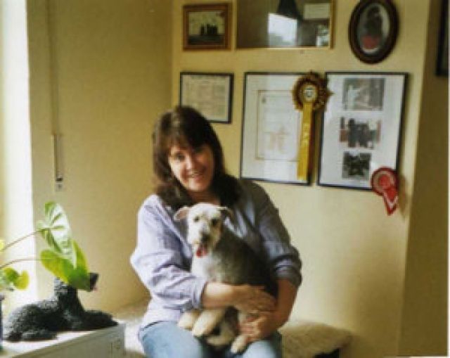 Hundesalon Piccobello Krefeld - Zubehoer für Haustiere - Krefeld