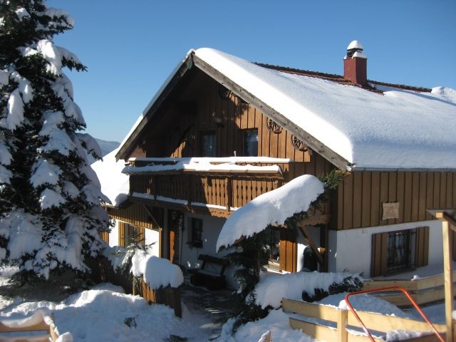 Urlaub mit ihrem treuen Freund - Urlaub Mit Tieren - Lohberg