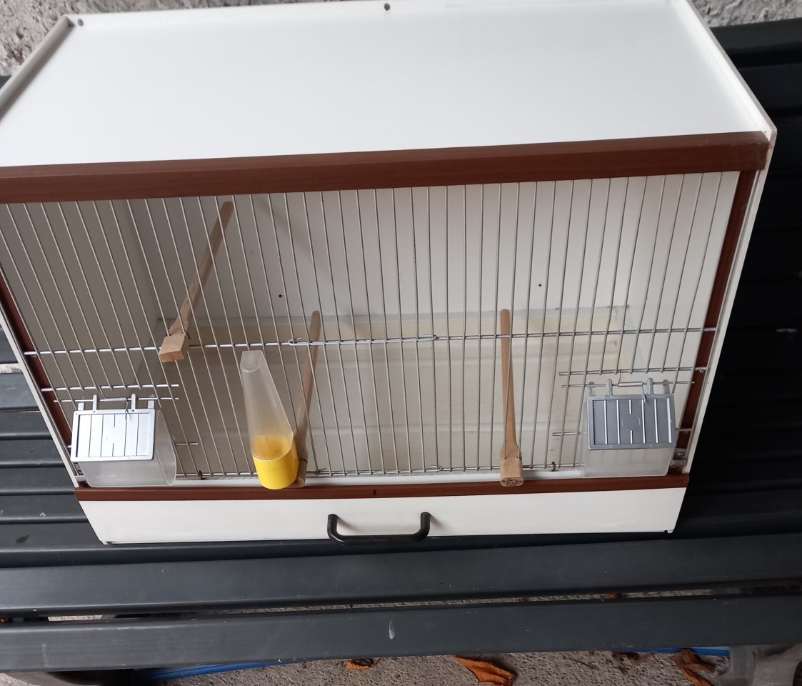 Zuchtboxen für Vögel - Voegel - 37339