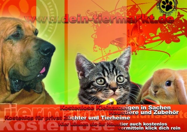 Achtung bitte lesen - Haustiere - eggenfelden