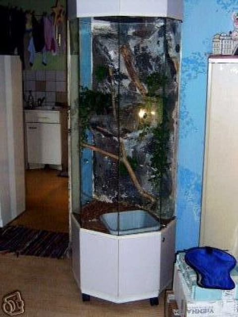 Terrarium - Terrarien - wien