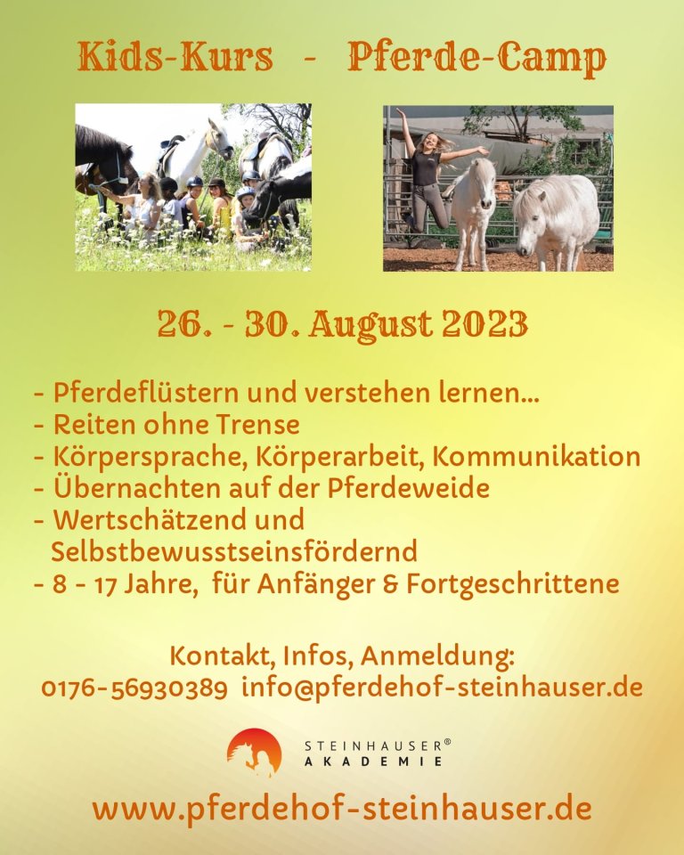 Kid´s Kurs – Pferdecamp, Reiterferien - Reitunterricht - Bayern - Dietersheim