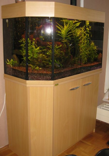 200l Panorama-Aquarium m.Unterschrank - Aquarien und Zubehoer - Gladbeck