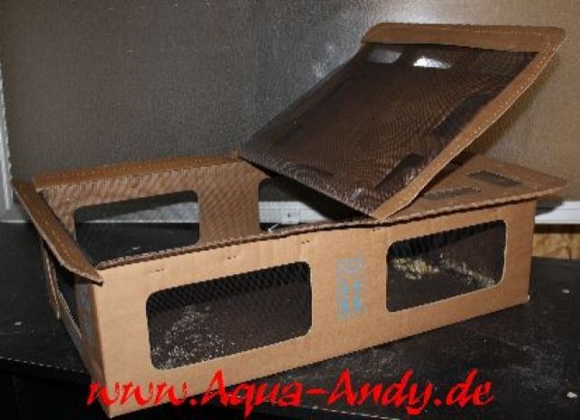 Transportboxen für Kleintiere / Nager wie Ratten, Mäuse, Hamster, Meerschweinc - Nagetiere Allgemein - Volkach