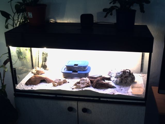 Aquarium mit Zubehör  - Aquarien und Zubehoer - Eschlkam