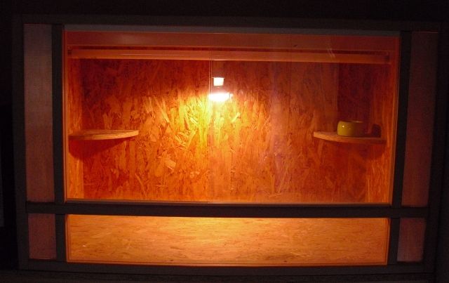 Holzterrarium - Terrarien - eisenberg