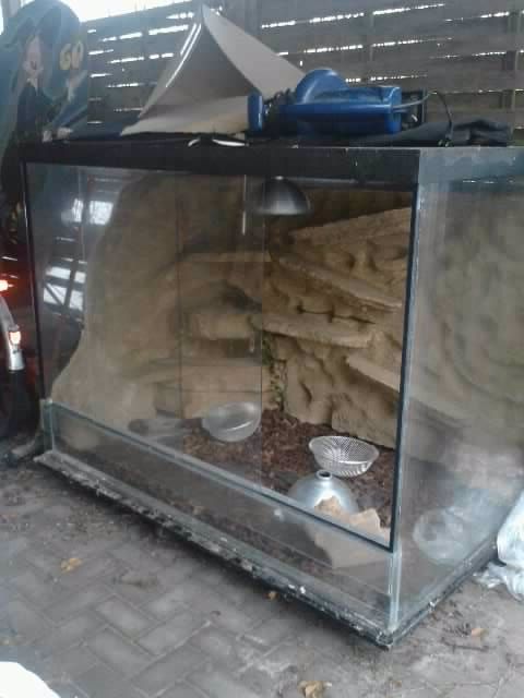 Vollglas-terrarium - Terrarien - Garrel