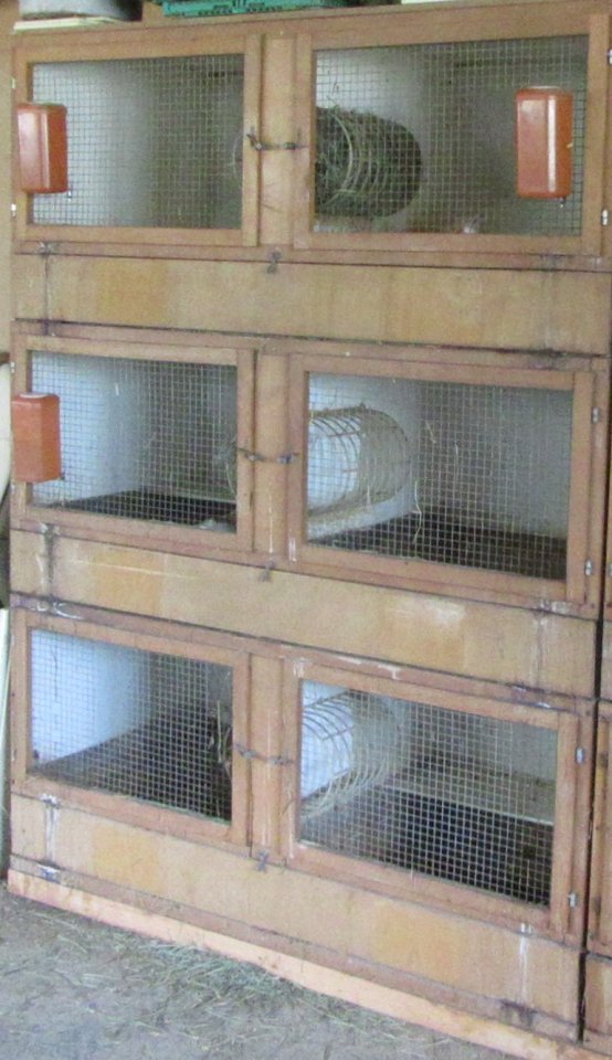 Meerschweinchen / Kaninchenstall 6 x 70x70 cm - Nagetiere - Schwenningen